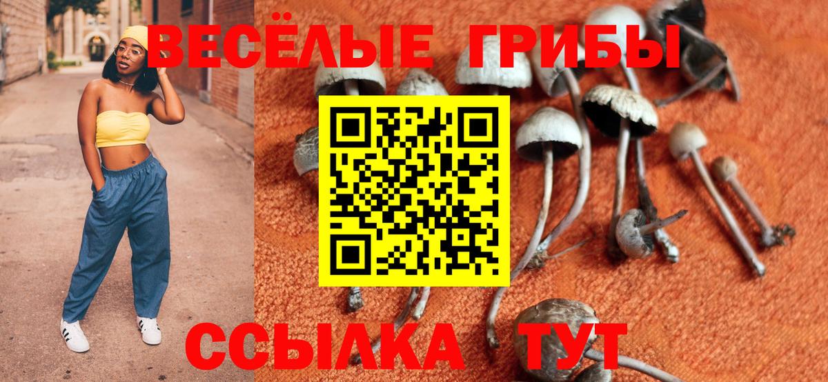 Галлюциногенные грибы Magic Shrooms Славянск-на-Кубани